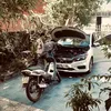 hinhsu_ame