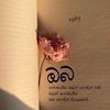 ravindupeiris05