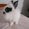 ilka_.rubinka01