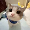nguyen_phat_05