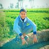 khaled12385