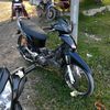 danar346