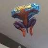 spidey_8833