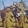 moh.abdalla74