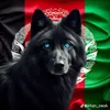 f.khan026