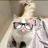 rzzq_19
