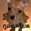 user12348132028338