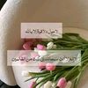 user9003753070625