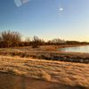 notwill_28