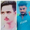 .786.mardani