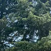 usr_5162782282929