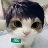 _ale_gg_282