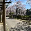 pilartakeuchi