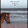 mimi_5117