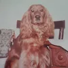 brandy8607