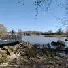 marcelab264