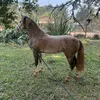 ket.que.ama.cavalos8
