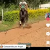 ulises.tello0