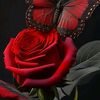 user9240040912503