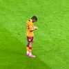 taylanbulut24