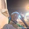 dindon.gobdin