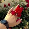 shsshshsh84