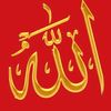 abdur.razzak625