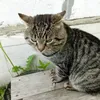 olergdjeowisjdk