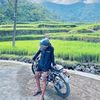 achils81