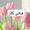 hale_kare_gulestan3