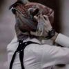 abdul.wasia74
