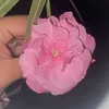 irenea360