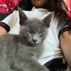 ingrid_8351