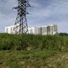kanekieskenies