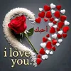 gjhchh281