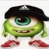 soso_lice_