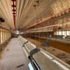 barmelpoultryservice.llc
