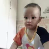 honghanhnguyen737
