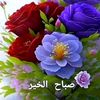 deansalam7