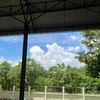 bang_kan_255_3