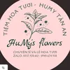 tiemhoatuoihumytanan