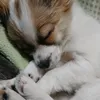 user2101118317783