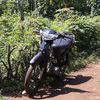 vegabuburracing