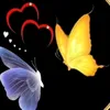 user42572432820078