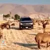 hamadyjasem