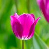 imtaiz.hussain80