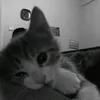 nglhin