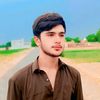 alich.65