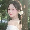 _qynanh_64