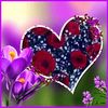 muhamad.karimi8